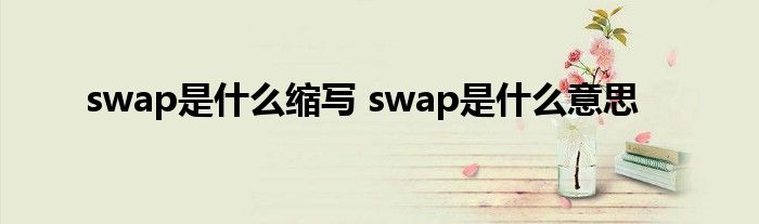 swap是什么缩写 swap是什么意思